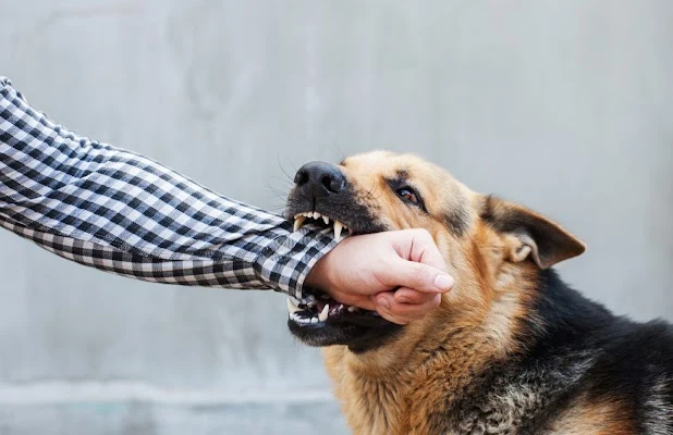 High Stakes Injury Law
