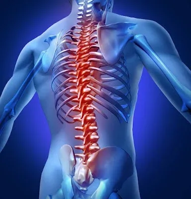 Palmintier, Thrower, and Treuting Injury Attorneys