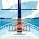 Steven Smith Injury Law Firm & Accident Lawyers